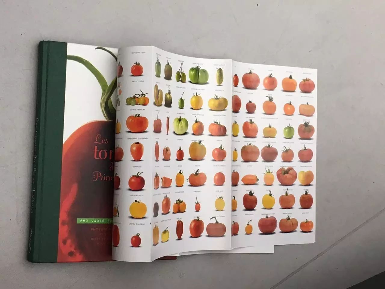 pic3_de Broglie出版的关于多样化品种的番茄的书   摄影：刘春兰.jpg
